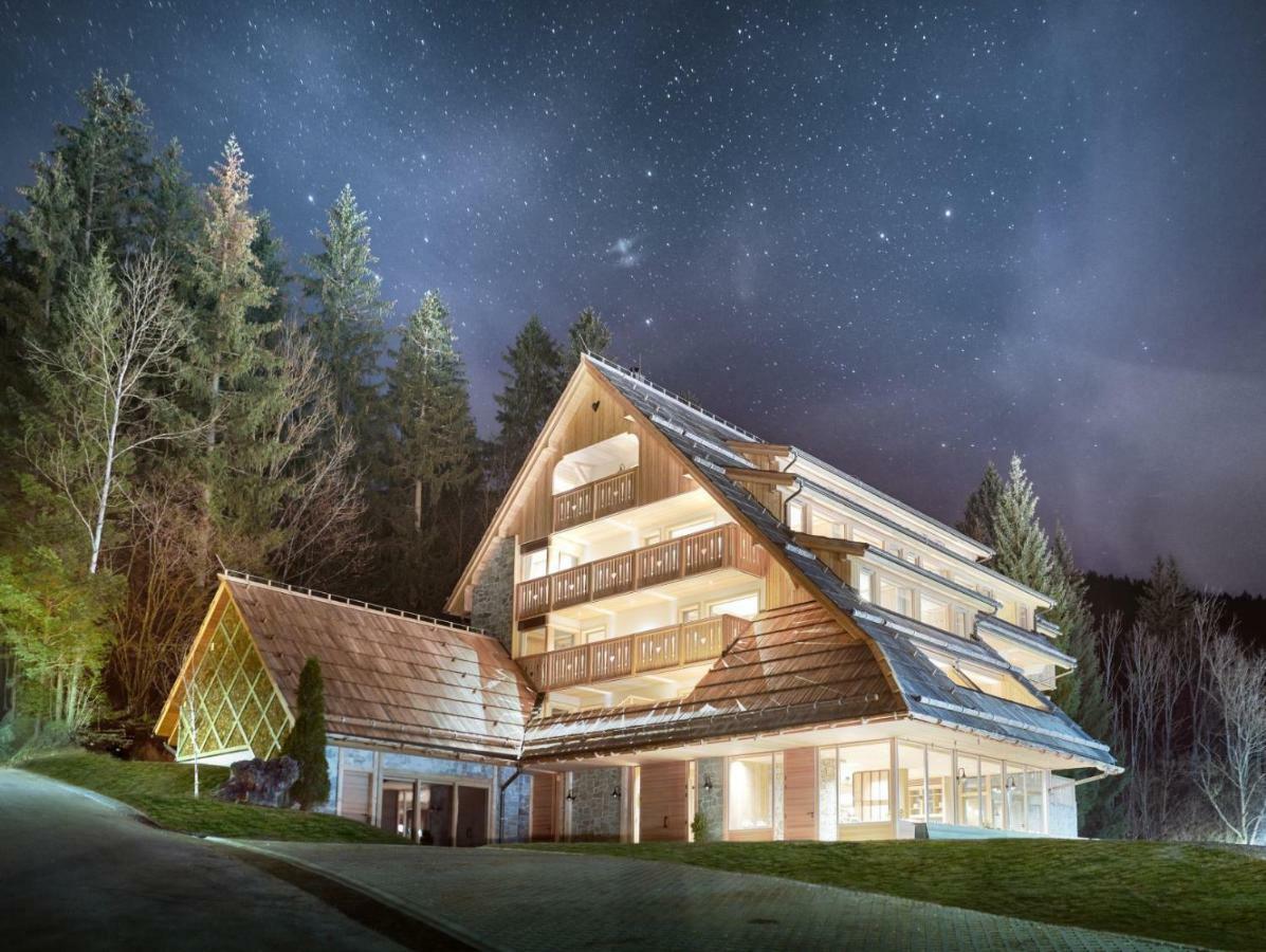 Boutique Hotel Vila Planinka Zgornje Jezersko Exterior photo